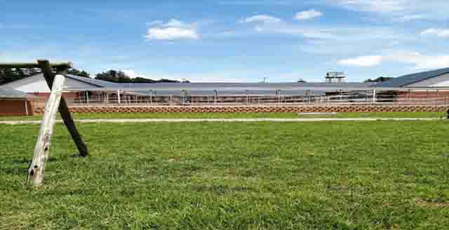 Construction of Tinana JSS in Mount Fletcher, Eastern Cape.